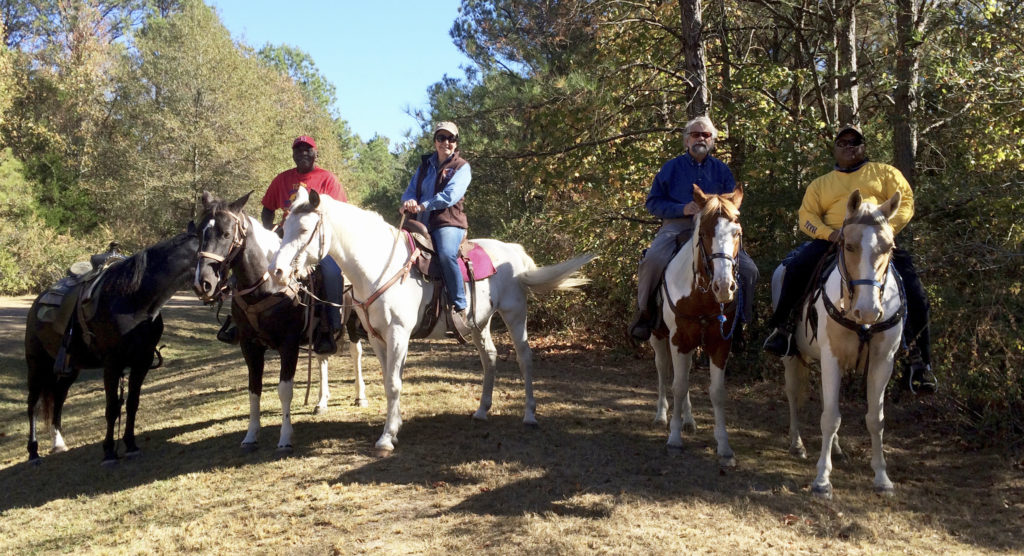 A great day for a horseback ride.