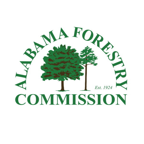 welcome-to-flagg-mountain-alabama-s-first-mountain