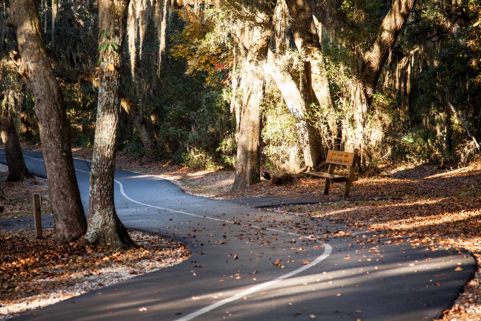 Alabama Trails Foundation – The location for all things trails in Alabama