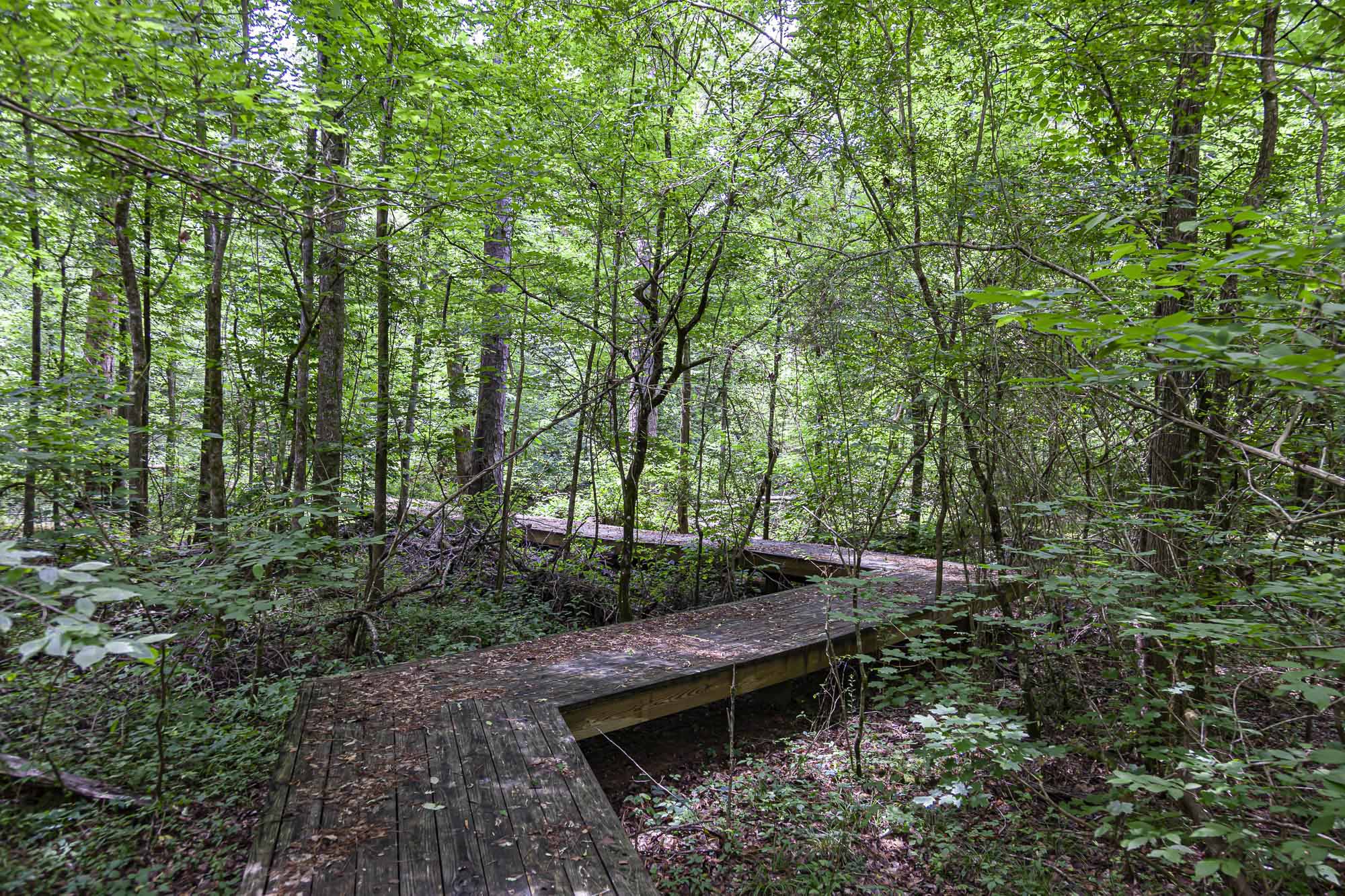 Alabama Trails Foundation – The location for all things trails in Alabama